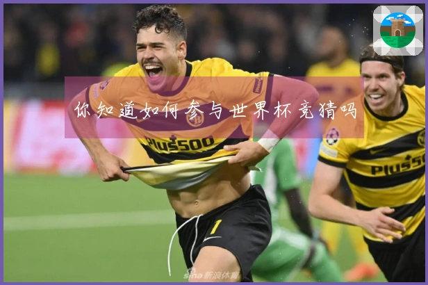 你知道如何参与世界杯竞猜吗