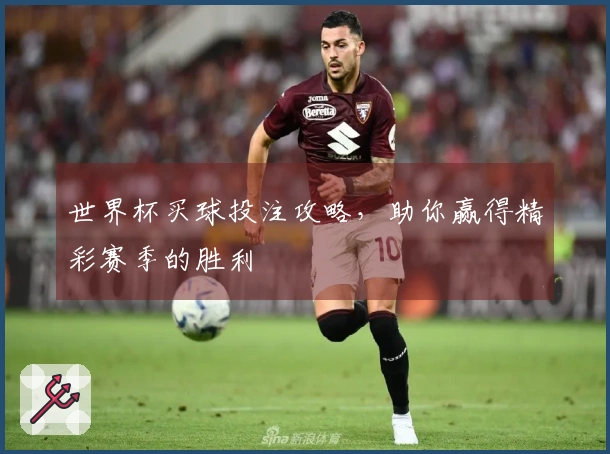 世界杯买球投注攻略，助你赢得精彩赛季的胜利