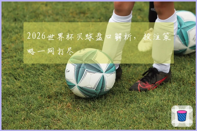 2026世界杯买球盘口解析，投注策略一网打尽