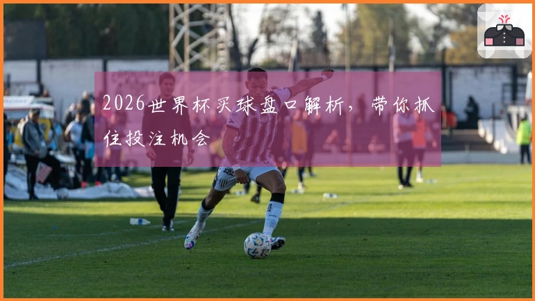 2026世界杯买球盘口解析，带你抓住投注机会