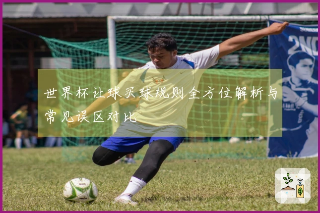 世界杯让球买球规则全方位解析与常见误区对比
