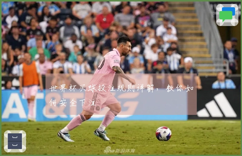世界杯买球投注规则详解，教你如何安全下注