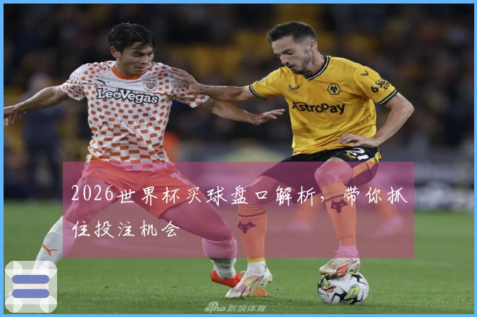 2026世界杯买球盘口解析，带你抓住投注机会