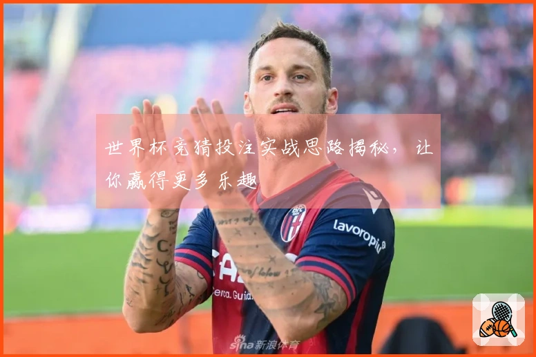 世界杯竞猜投注实战思路揭秘，让你赢得更多乐趣