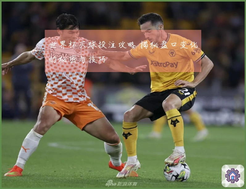 世界杯买球投注攻略 揭秘盘口变化的秘密与技巧