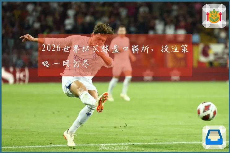 2026世界杯买球盘口解析，投注策略一网打尽