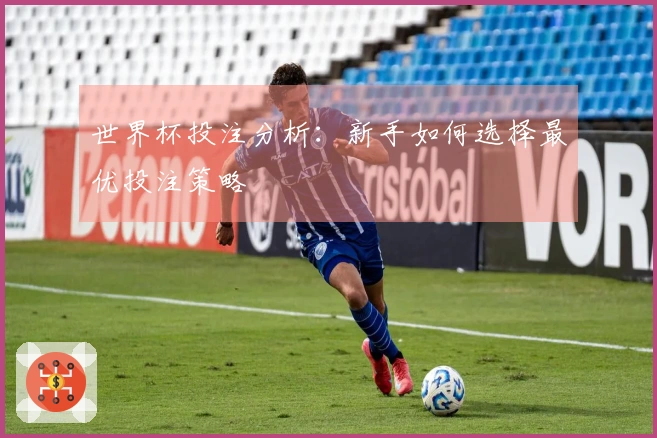 世界杯投注分析：新手如何选择最优投注策略