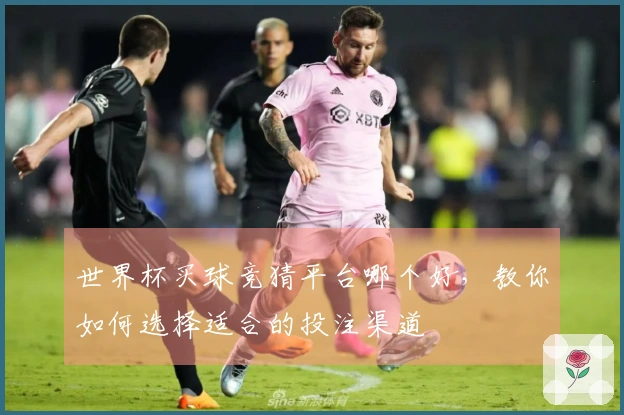 世界杯买球竞猜平台哪个好，教你如何选择适合的投注渠道