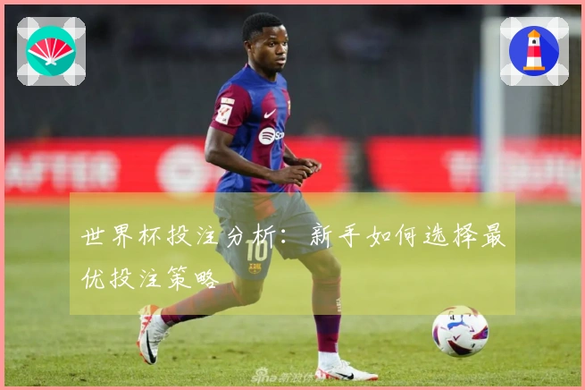 世界杯投注分析：新手如何选择最优投注策略