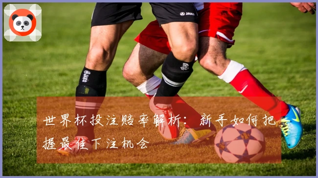 世界杯投注赔率解析：新手如何把握最佳下注机会