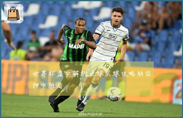 世界杯盘口解析让球买球攻略助你押中胜局