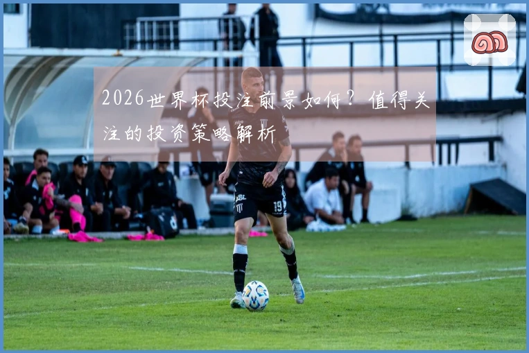 2026世界杯投注前景如何？值得关注的投资策略解析